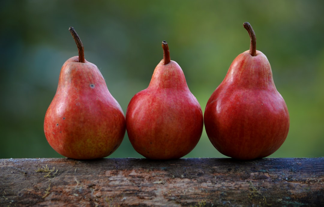 Pears by Fruit Fly Traps three red pear fruits