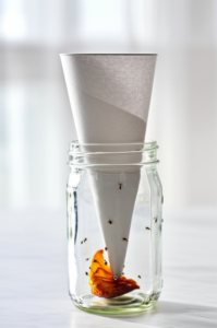 Featured image for How Do I Make 5 Homemade Fruit Fly Traps Using Household Items 2026